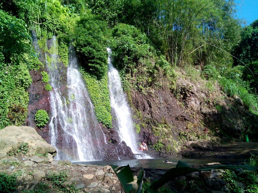 Banyuwangi Homestay Extérieur photo